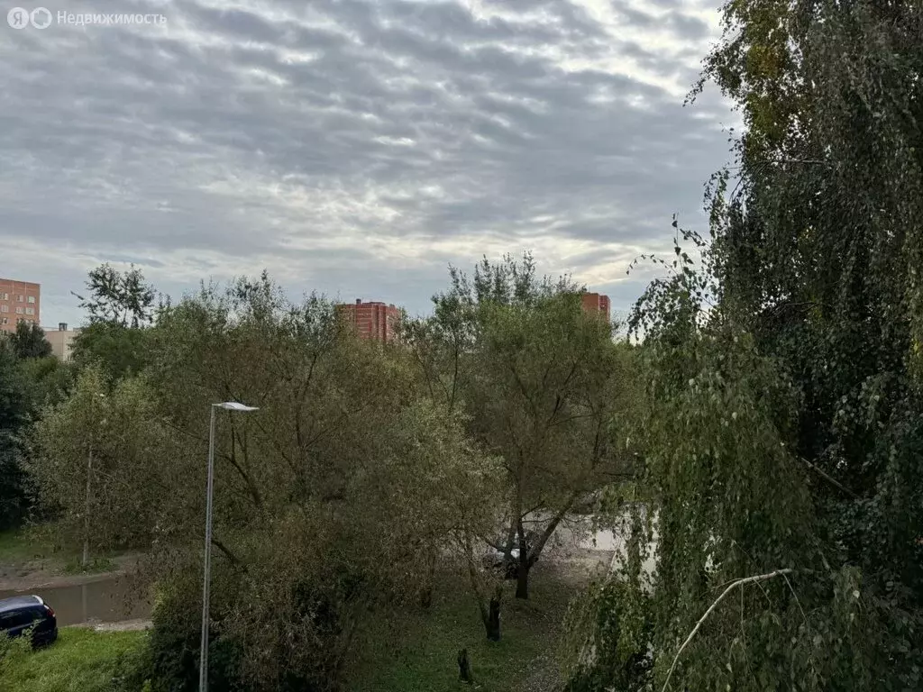 1-комнатная квартира: Санкт-Петербург, Стародеревенская улица, 19к4 ... - Фото 2