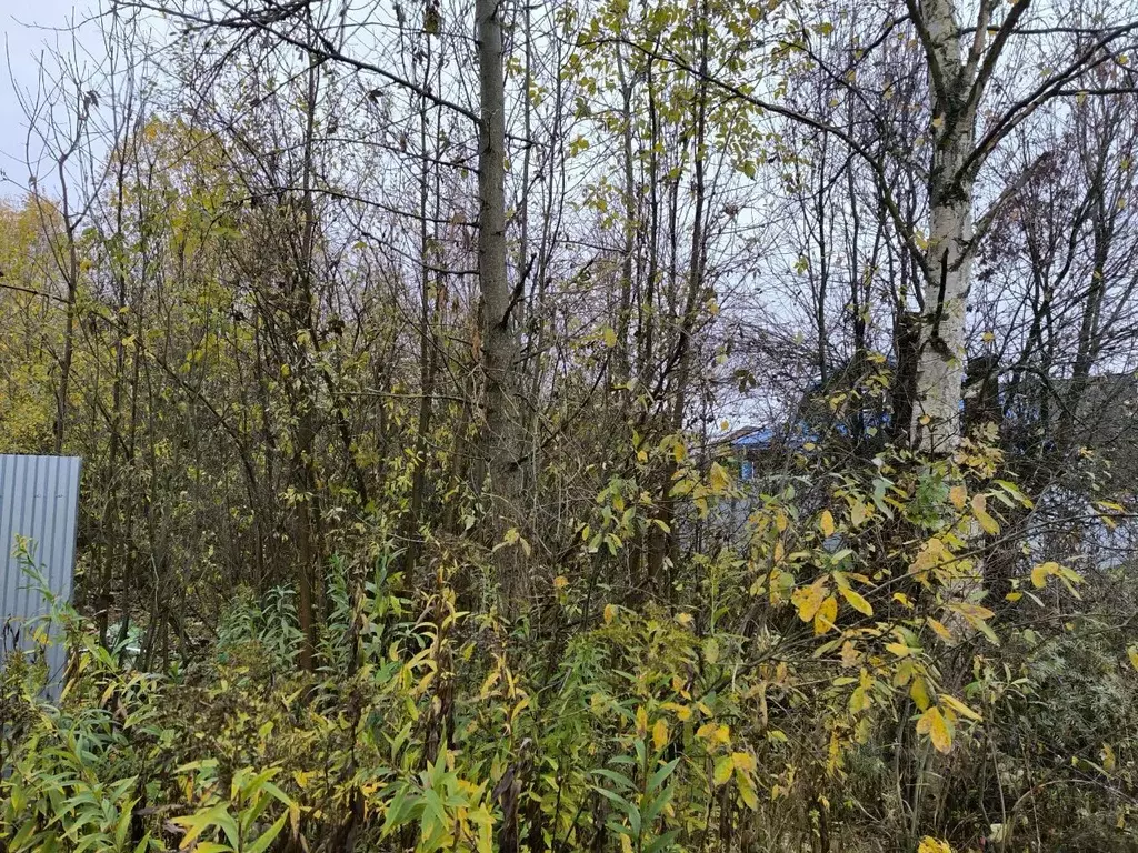 Участок в Московская область, Клин ул. Ломоносова (7.41 сот.) - Фото 1