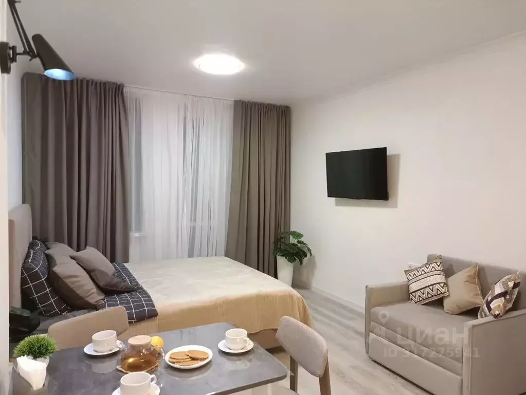 Студия Санкт-Петербург ул. Савушкина, 143к1 (28.0 м) - Фото 1