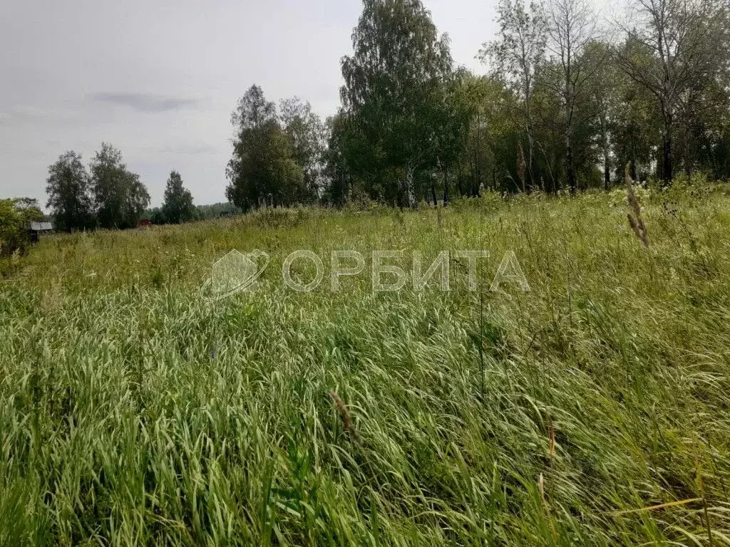 Участок в Тюменская область, Нижнетавдинский район, Сочинские СНТ  ... - Фото 0