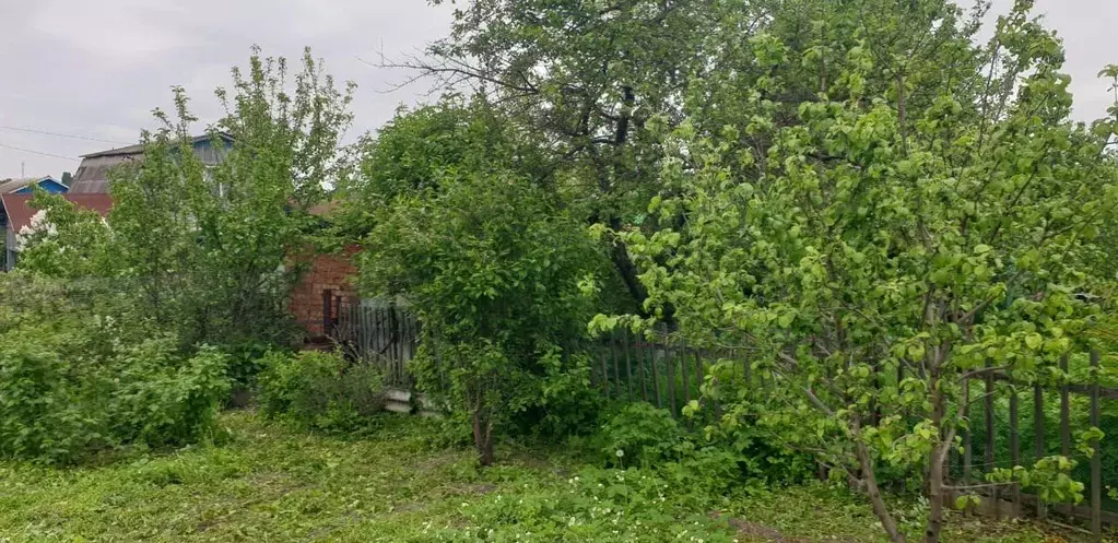 Дом в Омская область, Омск  (38 м) - Фото 1