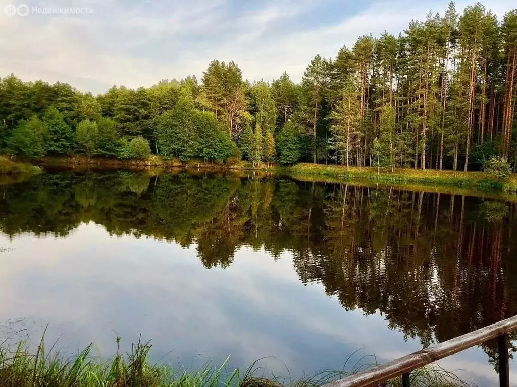 Участок в Орловская область, посёлок городского типа Хотынец (10 м) - Фото 0