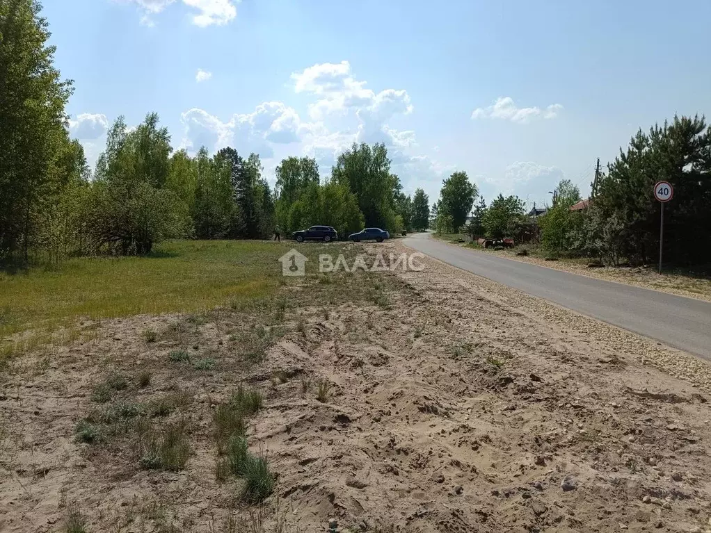 Участок в Нижегородская область, Павловский район, д. Новое Щербинино ... - Фото 1