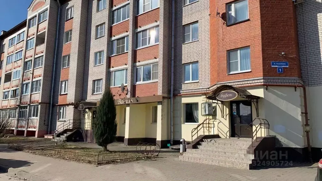 Торговая площадь в Новгородская область, Великий Новгород ул. Якова ... - Фото 1