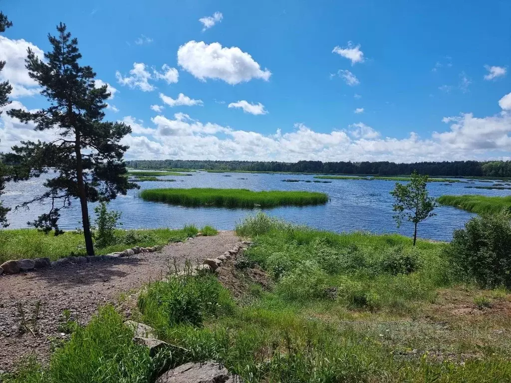 Участок в Ленинградская область, Выборгский район, Советское городское ... - Фото 2