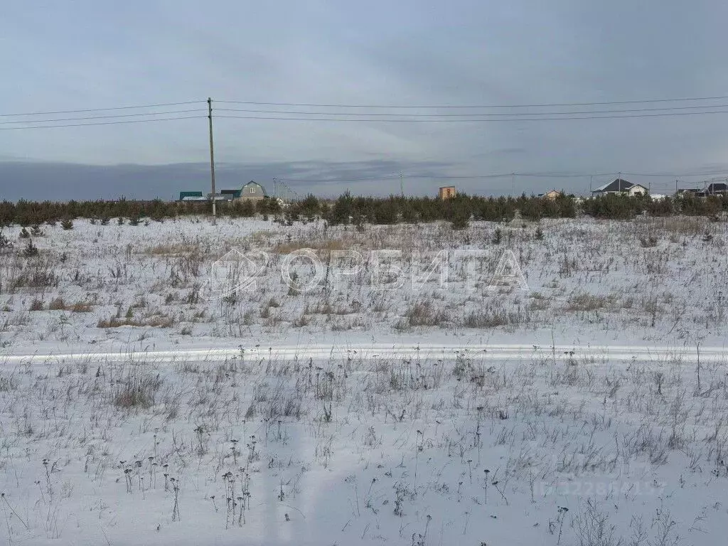 Участок в Тюменская область, Тюменский муниципальный округ, с. Борки  ... - Фото 1