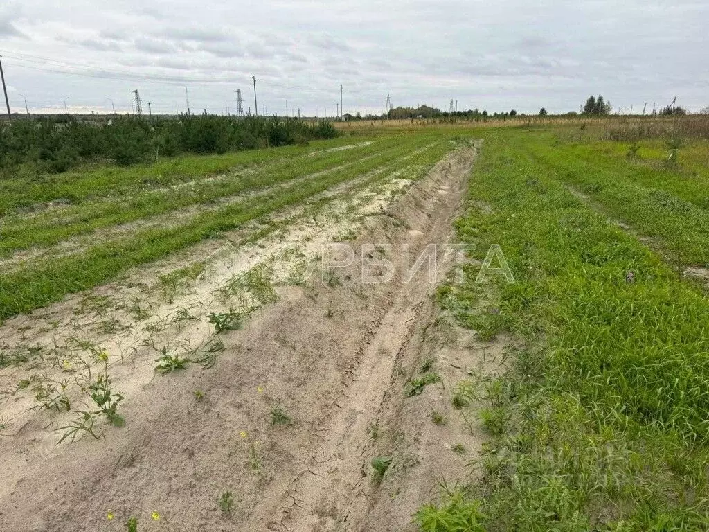 участок в тюменская область, тюменский район, д. елань (8.17 сот.) - Фото 0