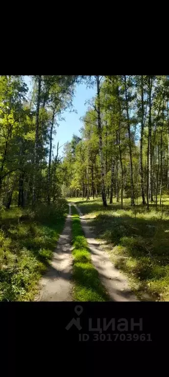 Участок в Нижегородская область, Нижний Новгород с. Новые Ключищи,  ... - Фото 1