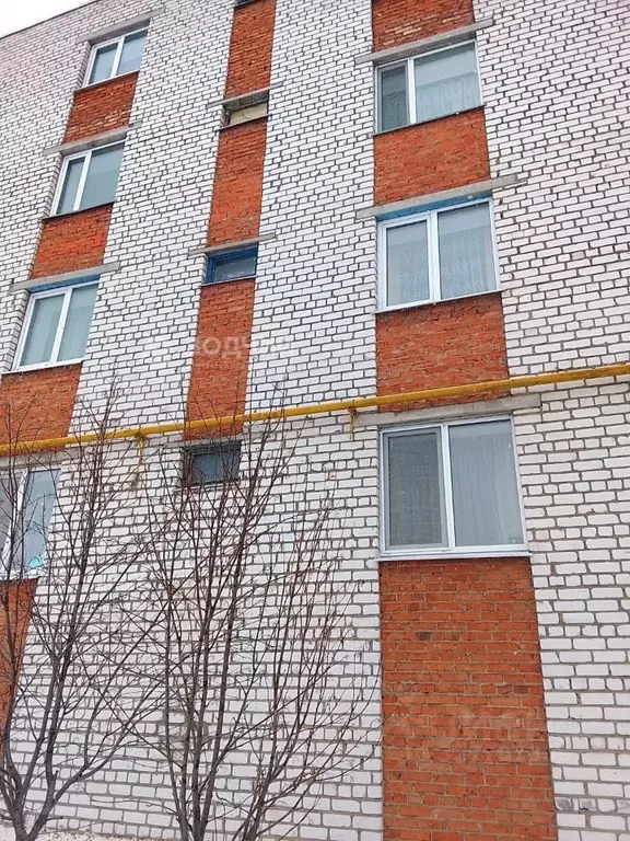 3-к кв. Чувашия, Цивильск Цивильский район, ул. Куйбышева, 13 (78.9 м) - Фото 2