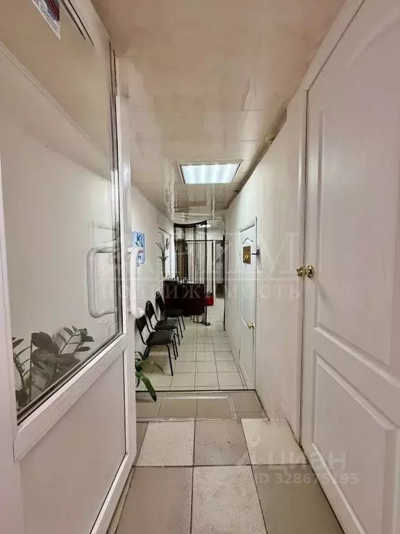 Офис в Пензенская область, Пенза ул. Бакунина, 80 (6 м) - Фото 1