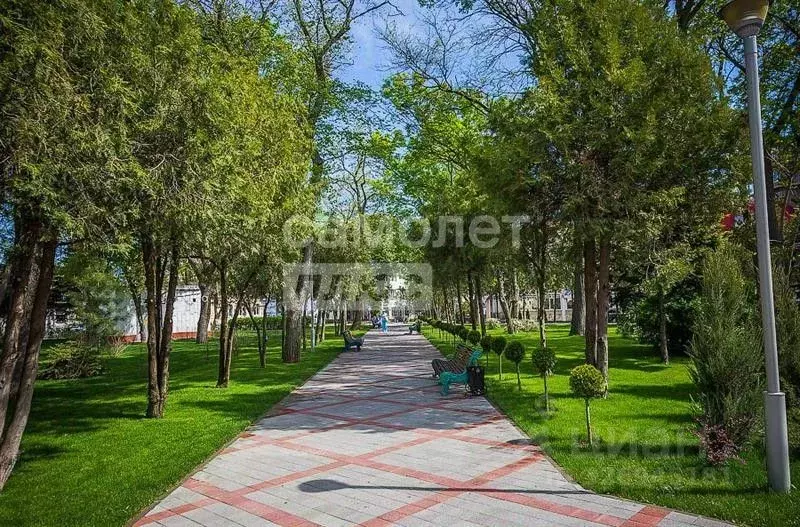 3-к кв. Курская область, Курск ул. Ленина, 90 (56.4 м) - Фото 1