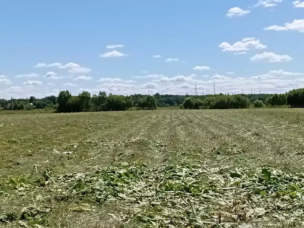 Участок в Ленинградская область, Кингисеппский район, Большелуцкое ... - Фото 1