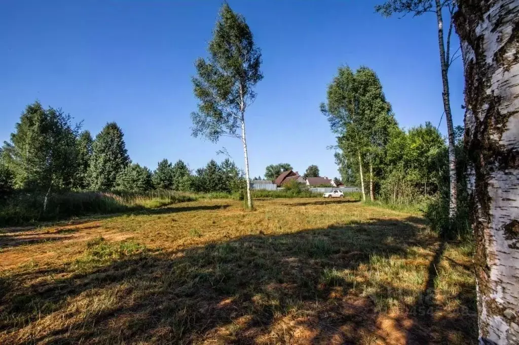 Участок в Тверская область, Конаковский муниципальный округ, д. Сажино ... - Фото 1