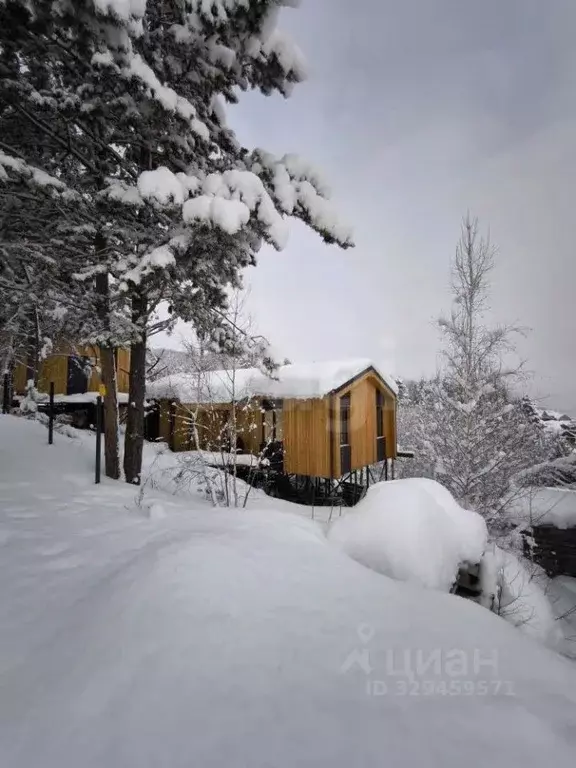 Дом в Алтай, Горно-Алтайск ул. Чепкина, 12 (73 м) - Фото 1