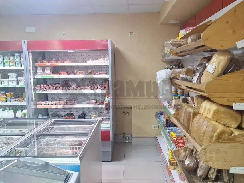 Помещение свободного назначения в Северная Осетия, Владикавказ ... - Фото 1