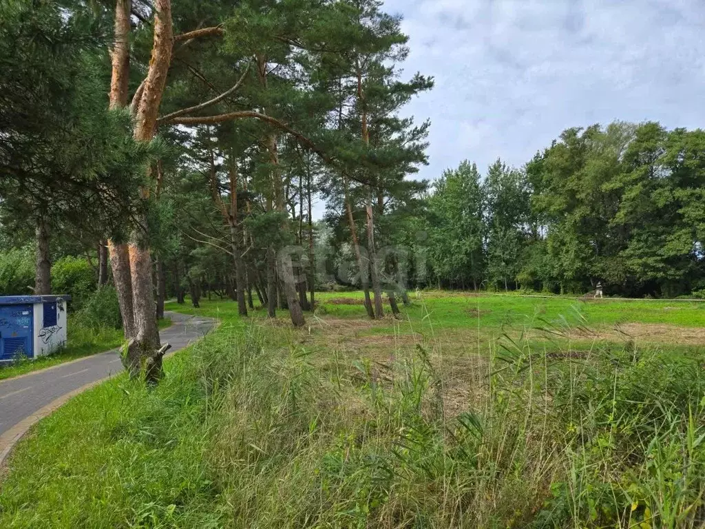 Участок в Калининградская область, Зеленоградск ул. Берлинская (8.0 ... - Фото 1