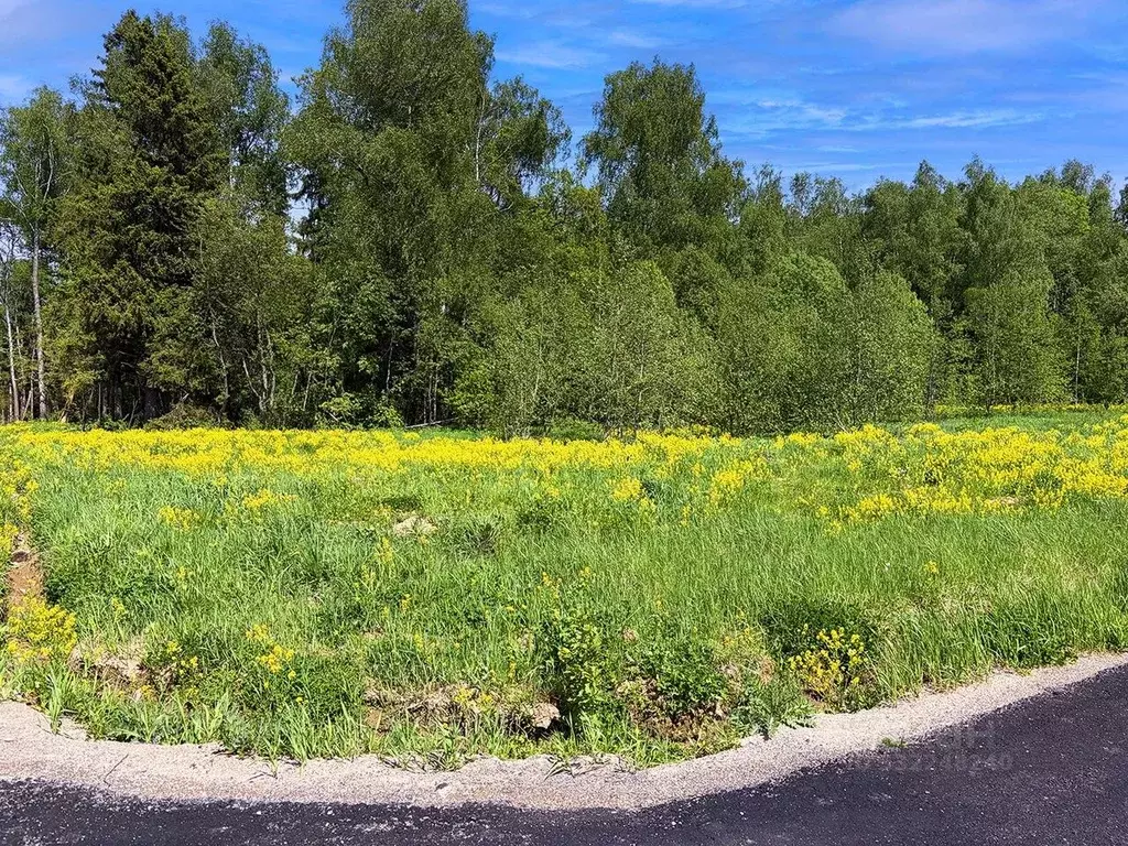 Участок в Московская область, Дмитровский муниципальный округ, ... - Фото 1