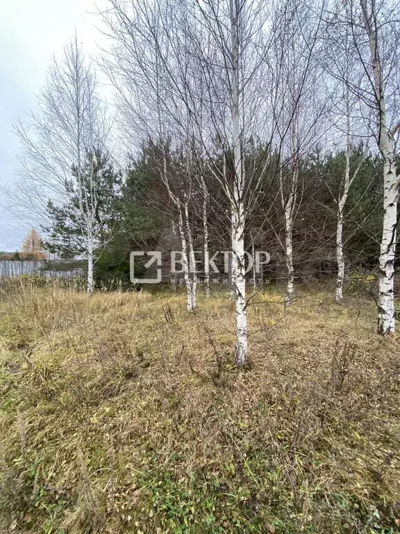 Участок 61 сот. (ИЖС) - Фото 1