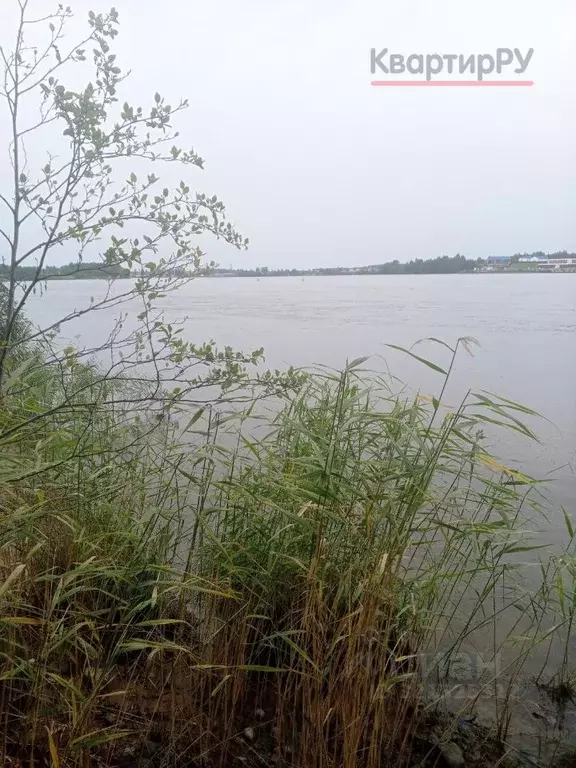 Участок в Ленинградская область, Всеволожский район, Имени Свердлова ... - Фото 2