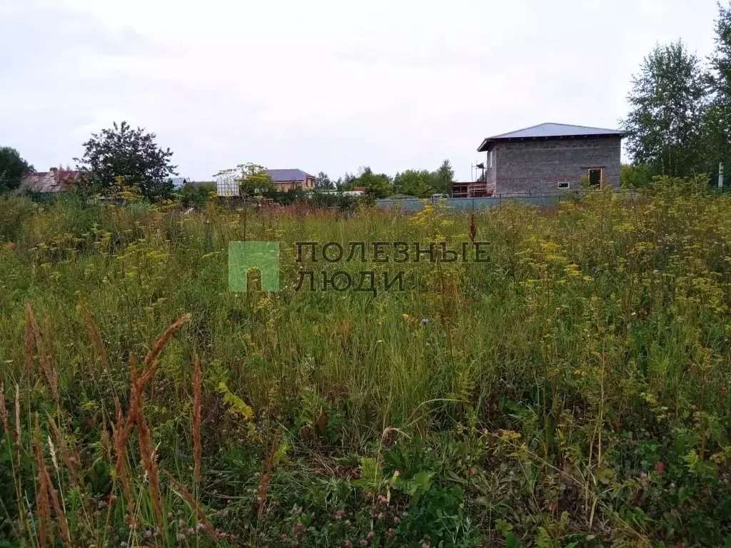 Участок в Татарстан, Зеленодольский район, Васильево муниципальное ... - Фото 1