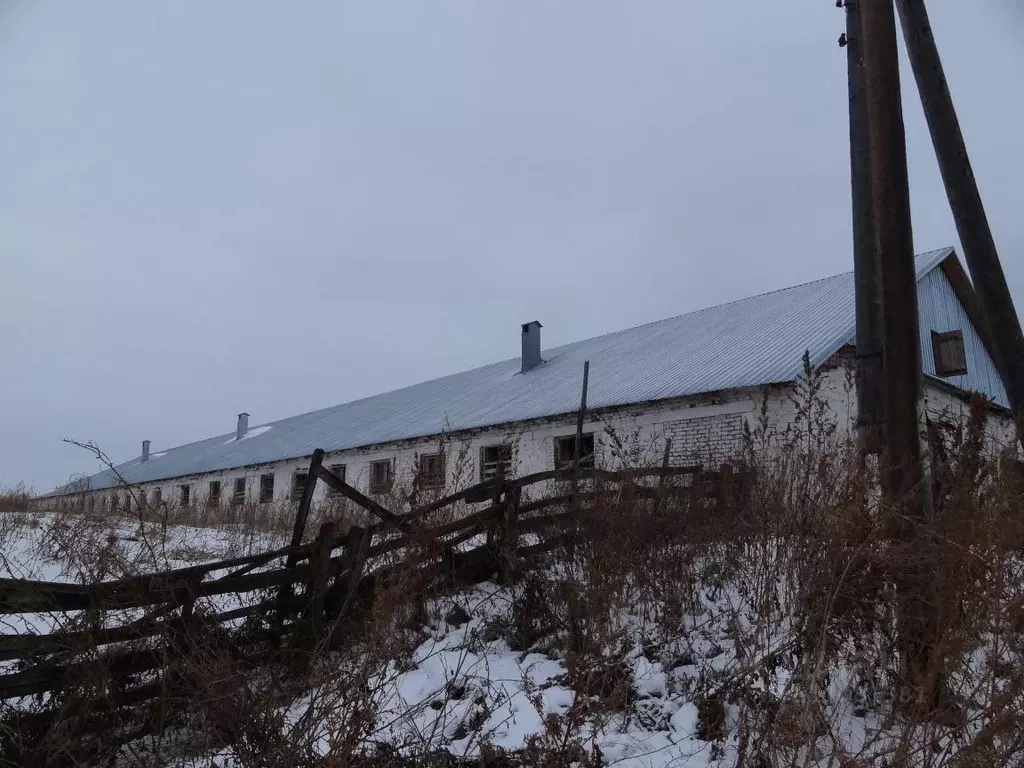 Помещение свободного назначения в Башкортостан, Миякинский район, ... - Фото 1