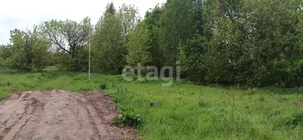 Участок в Владимирская область, Муромский район, Ковардицкое ... - Фото 1