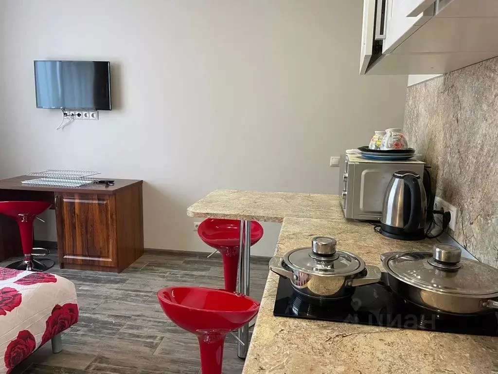 Студия Москва, Москва, Московский г. ул. Солнечная, 3Ас3 (25.0 м) - Фото 2