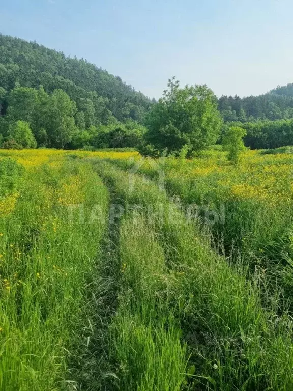 Участок в Сахалинская область, Корсаковский городской округ, с. Лесное ... - Фото 1