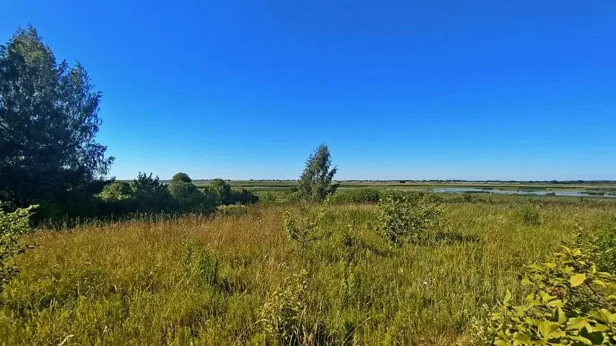 Участок в Псковская область, Псковский район, Логозовская волость, д. ... - Фото 0