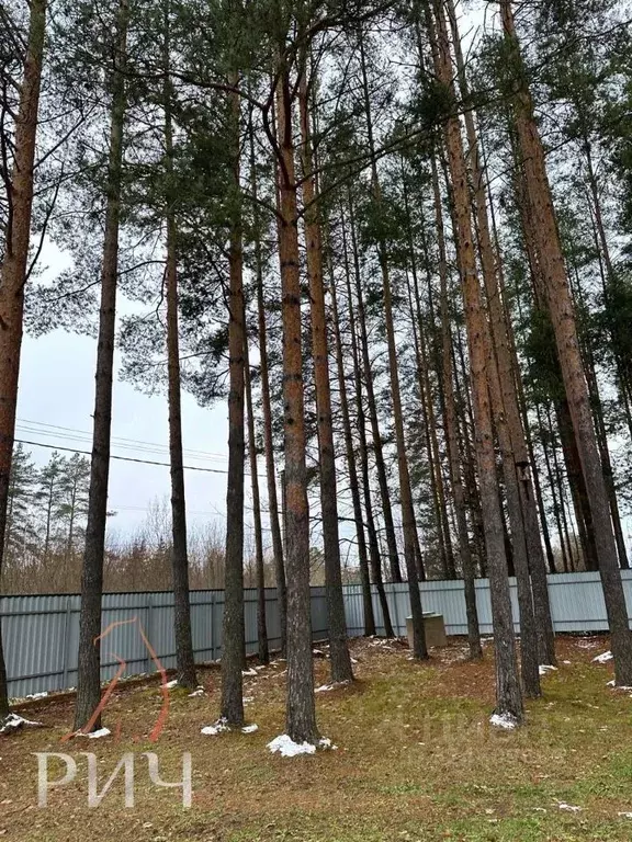 Дом в Ленинградская область, Гатчинский муниципальный округ, Вырица ... - Фото 2