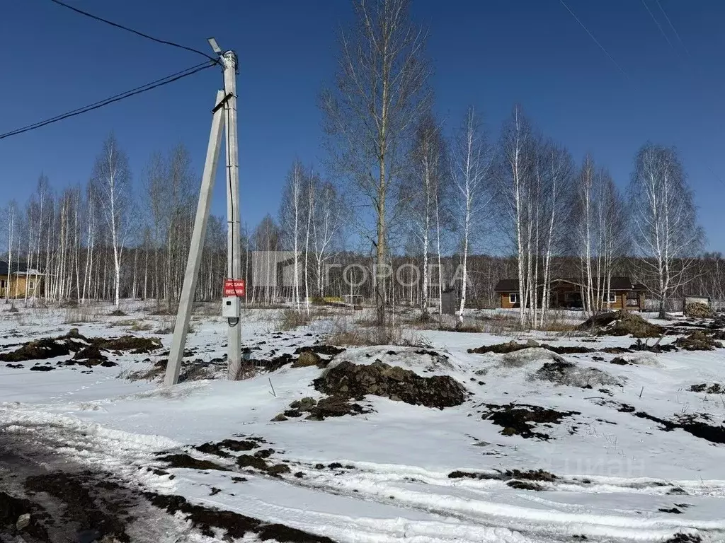 Участок в Новосибирская область, Новосибирский район, Станционный ... - Фото 0