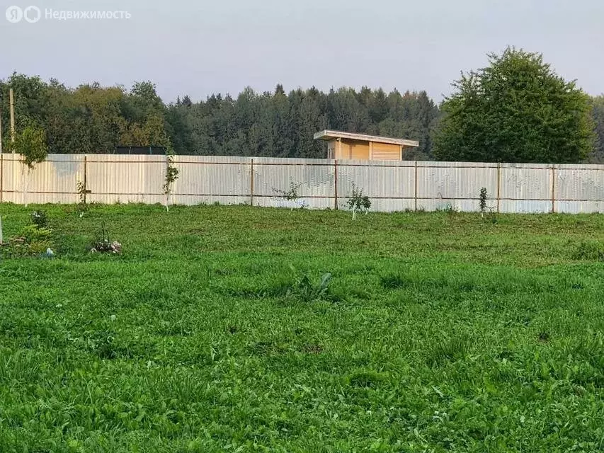Участок в Волосовский район, Калитинское сельское поселение, деревня ... - Фото 1