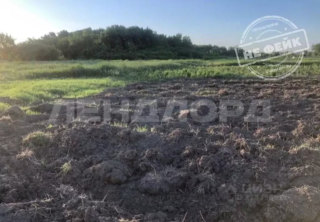 Участок в Ростовская область, Аксайский район, Грушевская ст-ца ... - Фото 0