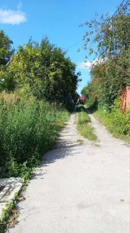 Участок в Калининградская область, Калининград Дружба-1 СНТ,  (5.2 ... - Фото 1