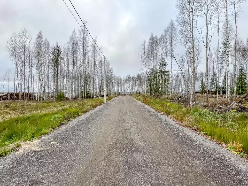 Участок в Ленинградская область, Всеволожск Щегловское Раздолье кп, 21 ... - Фото 0