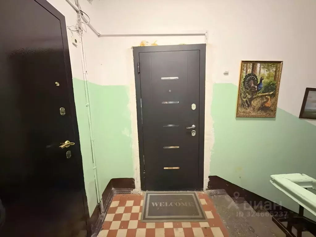 2-к кв. Московская область, Орехово-Зуево ул. Кирова, 23А (48.2 м) - Фото 2