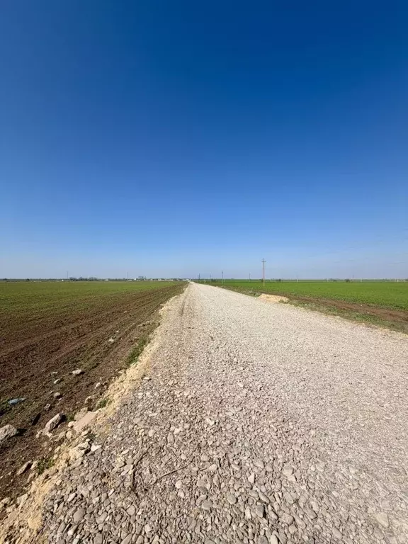 Участок в Крым, Сакский район, с. Уютное  (511.0 сот.) - Фото 1