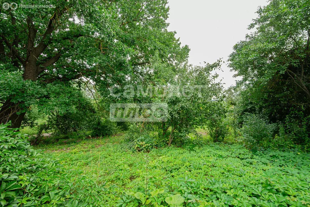 Участок в село Доброе, улица Калинина, 141 (19.6 м) - Фото 1