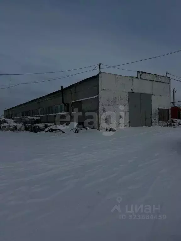 Склад в Ямало-Ненецкий АО, Новый Уренгой Железнодорожная ул., 90 (1079 ... - Фото 1