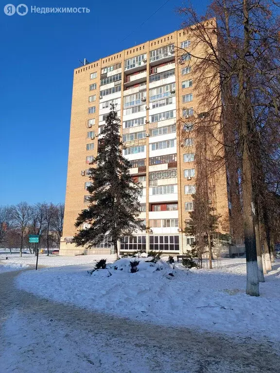 3-комнатная квартира: Орёл, набережная Дубровинского, 66 (72.2 м) - Фото 1