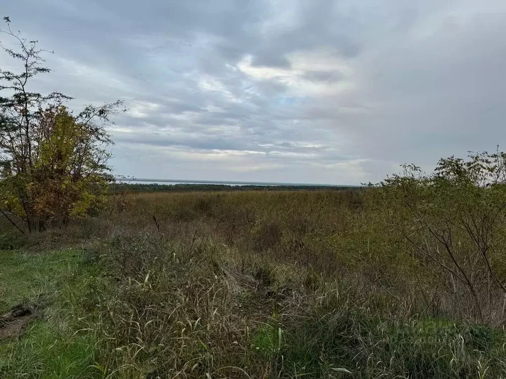 Участок в Краснодарский край, Темрюк Северные Сады СОТ,  (34.46 сот.) - Фото 2