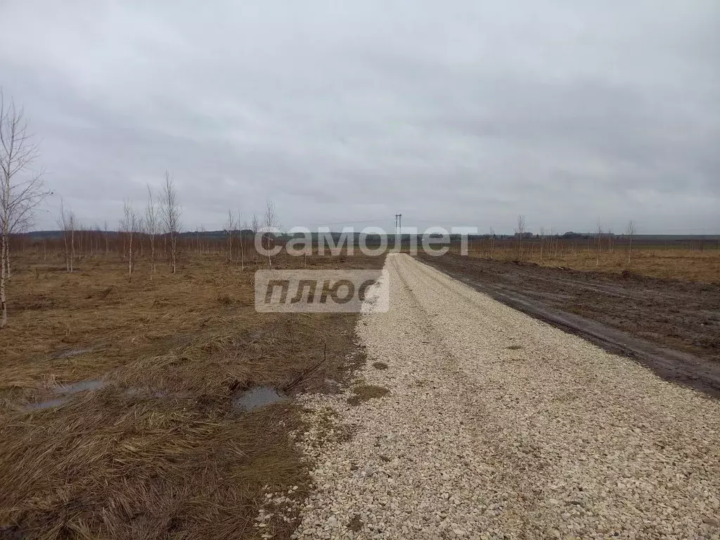 Участок в Рязанская область, Рязанский муниципальный округ, д. Рожок ... - Фото 2
