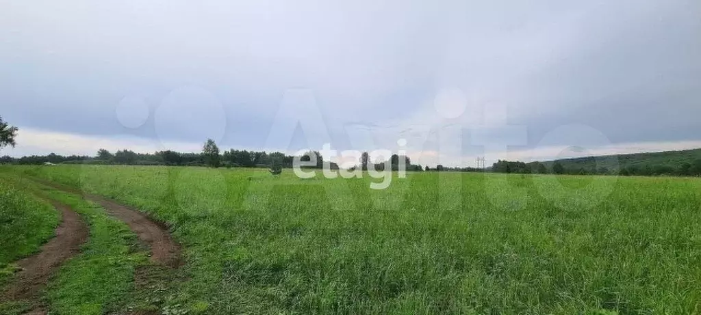 Участок 15 сот. (СНТ, ДНП) - Фото 0