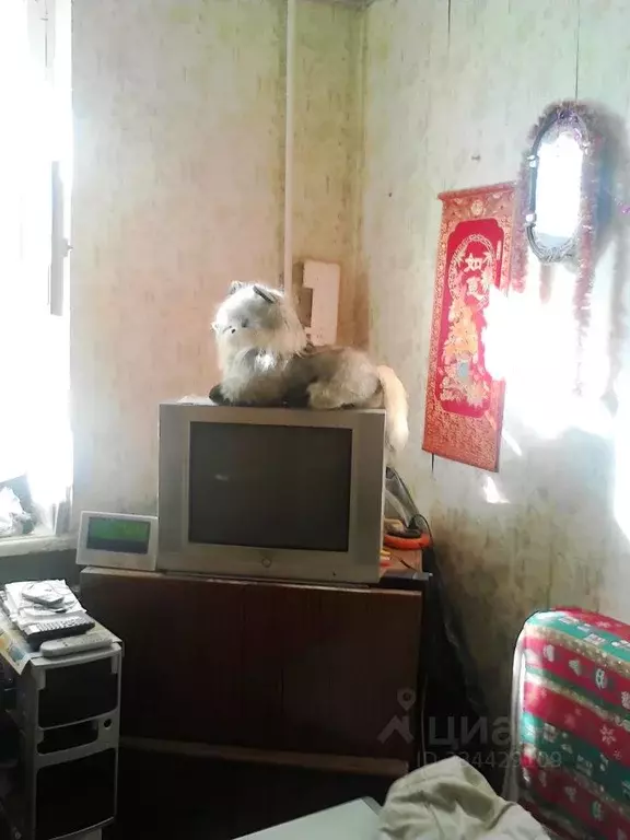 1-к кв. Самарская область, Новокуйбышевск ул. Буденного, 4 (31.0 м) - Фото 1