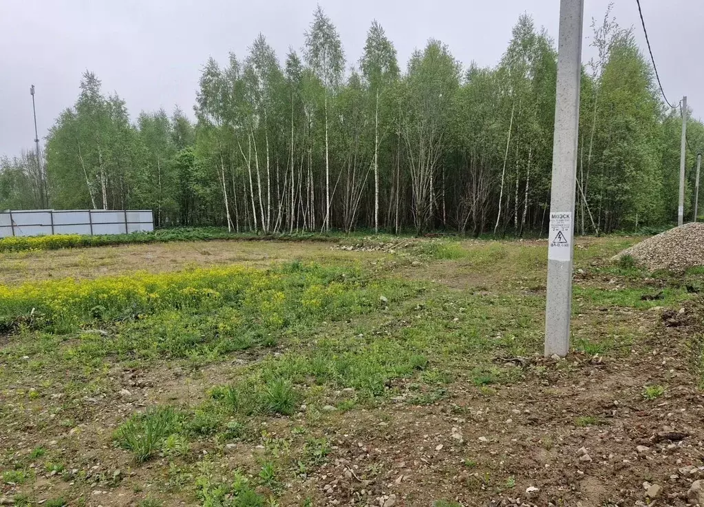 Участок в Московская область, Рузский муниципальный округ, Рузские ... - Фото 2