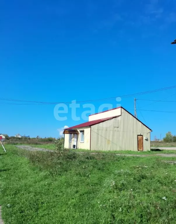 Помещение свободного назначения в Красноярский край, Козулька пгт ул. ... - Фото 1