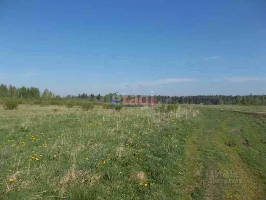 Участок в Татарстан, Тукаевский район, д. Малая Шильна  (6.49 сот.) - Фото 0