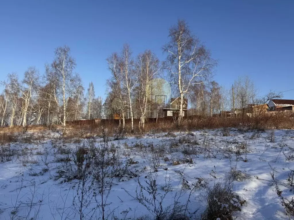 Участок в Иркутская область, Иркутский муниципальный округ, д. ... - Фото 1