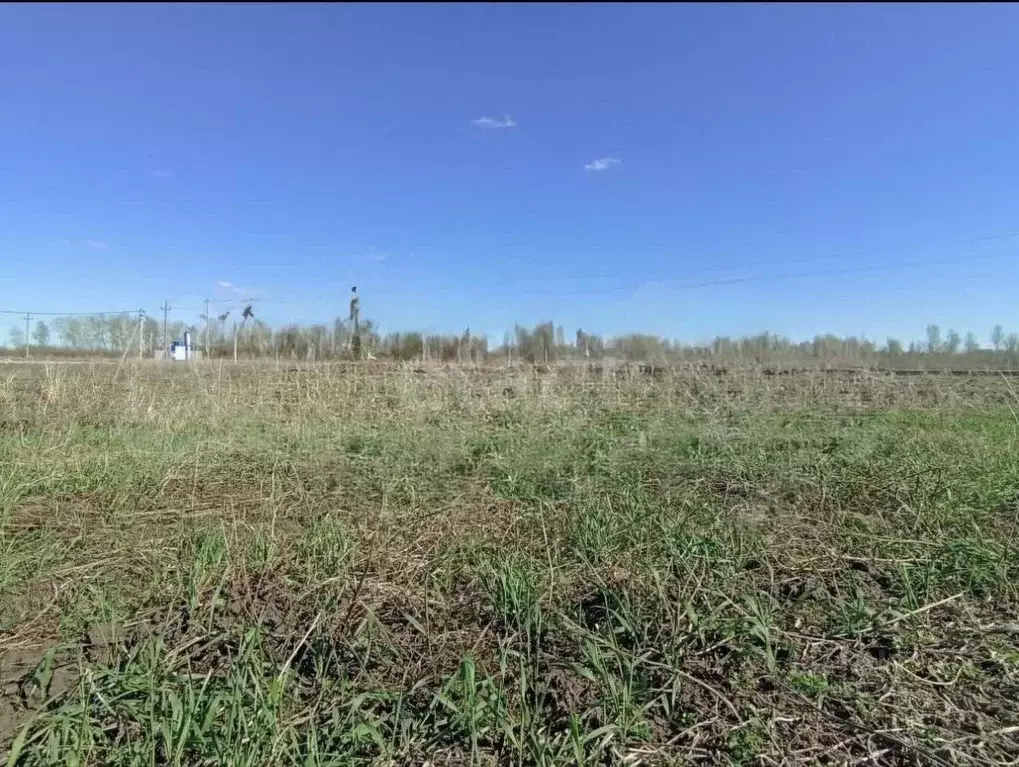 Участок в Тюменская область, Тюменский муниципальный округ, с. ... - Фото 2