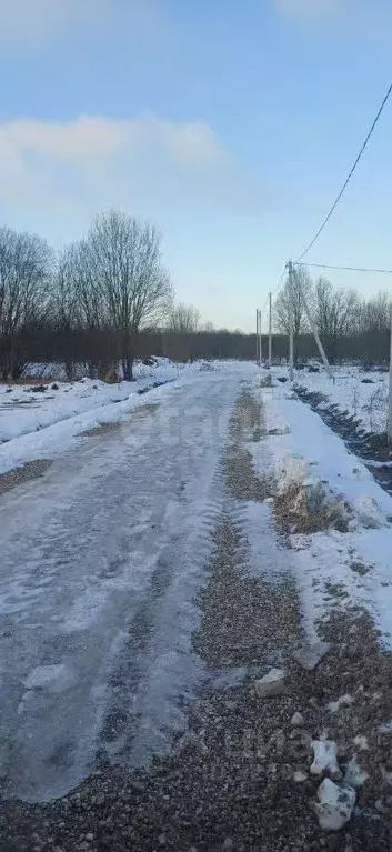 Участок в Вологодская область, Шекснинский муниципальный округ, д. ... - Фото 1